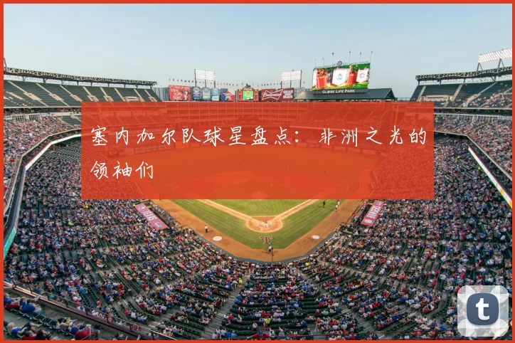 塞内加尔队球星盘点:非洲之光的领袖们