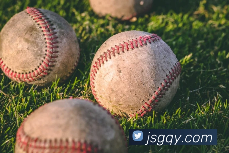 奖项证书